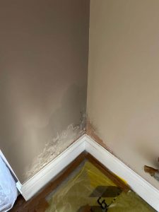 damp proofing